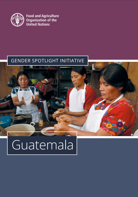 Gender Spotlight Initiative – Guatemala | UN‑Nutrition: the United